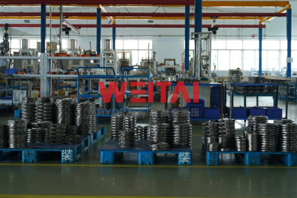 WEITAI Hydraulic Track Drive Motor